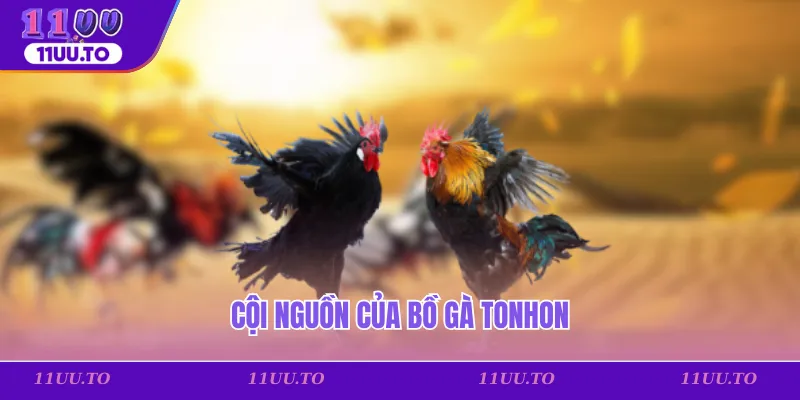 Cội nguồn của bồ gà Tonhon