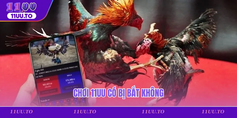 Đặc trưng của đá gà Thomo