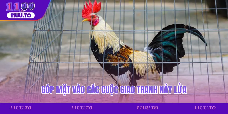Góp mặt vào các cuộc giao tranh nảy lửa