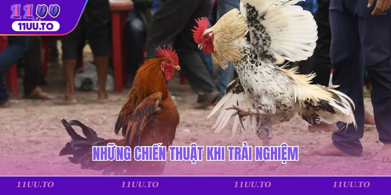 Những chiến thuật khi trải nghiệm