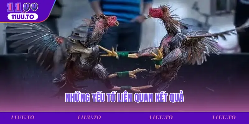 Những yếu tố liên quan kết quả