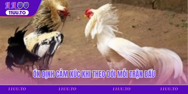 Ổn định cảm xúc khi theo dõi mỗi trận đấu