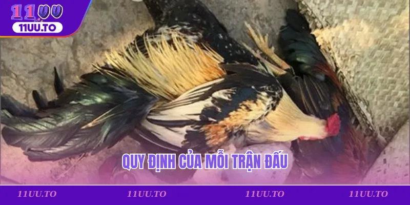 Quy định của mỗi trận đấu