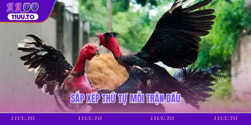 Sắp xếp thứ tự mỗi trận đấu