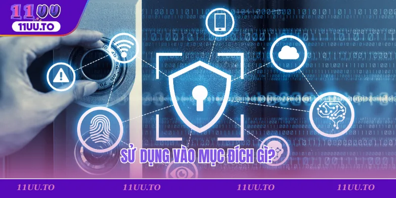 Sử dụng vào mục đích gì?