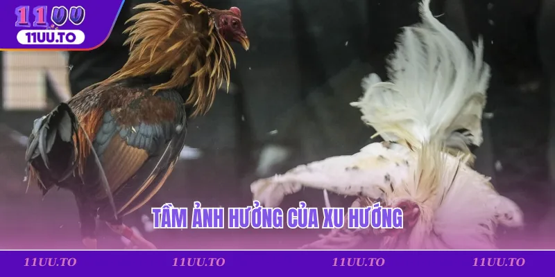 Tầm ảnh hưởng của xu hướng