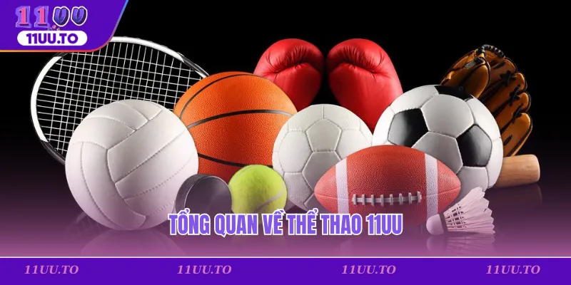 Tổng quan về thể thao 11uu