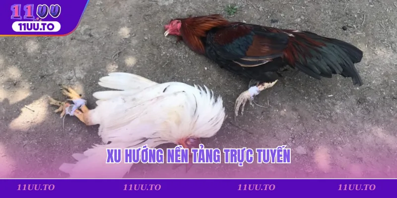 Xu hướng nền tảng trực tuyến